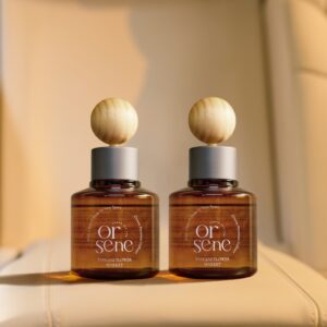 “1+1 올센느 차량용방향제 디퓨저” 솔직 후기, 새차 같은 향기