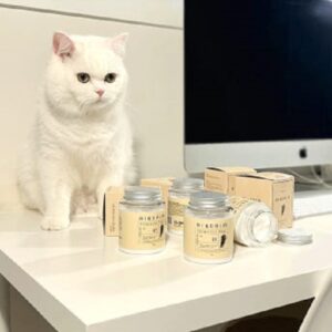 추천! 차량용 섬유향수 10종 인기 제품 지금 구매하세요