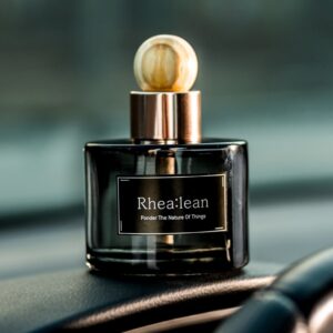 레아린 명품 차량용 차 방향제 자동차 향수 고급 디퓨저 사용 후기