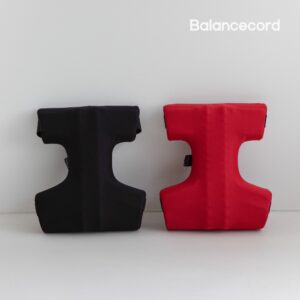 “발란스코드 카이로프랙틱쿠션D 1+1 자동차 허리 차량용 등받이 여행용” 솔직 사용 후기와 장단점 총정리