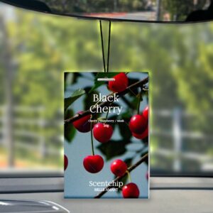 “벨르아망 센트칩 에어 프레셔너 자동차 샤쉐 걸이형 차량용 방향제 블랙체리” 솔직 후기, 정말 효과적일까?