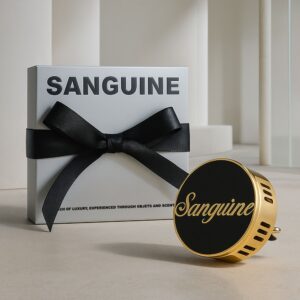 생귄 명품 차량용 방향제 송풍구 디퓨저 쥬얼리 클립 블랙 No Map 솔직 사용 후기