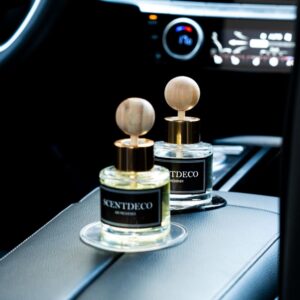 “액세서리 같은 차량 분위기, 1+1 금목서 디퓨저 차량용 방향제 추천”