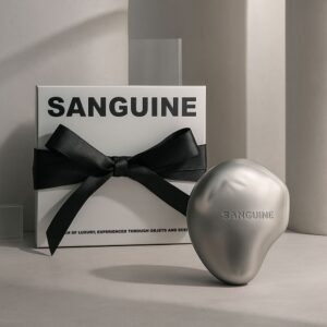 혼자만의 편안함, 새차선물 카디퓨저 추천 명품 크롬페블 차량용 방향제 블랙크롬 No Map