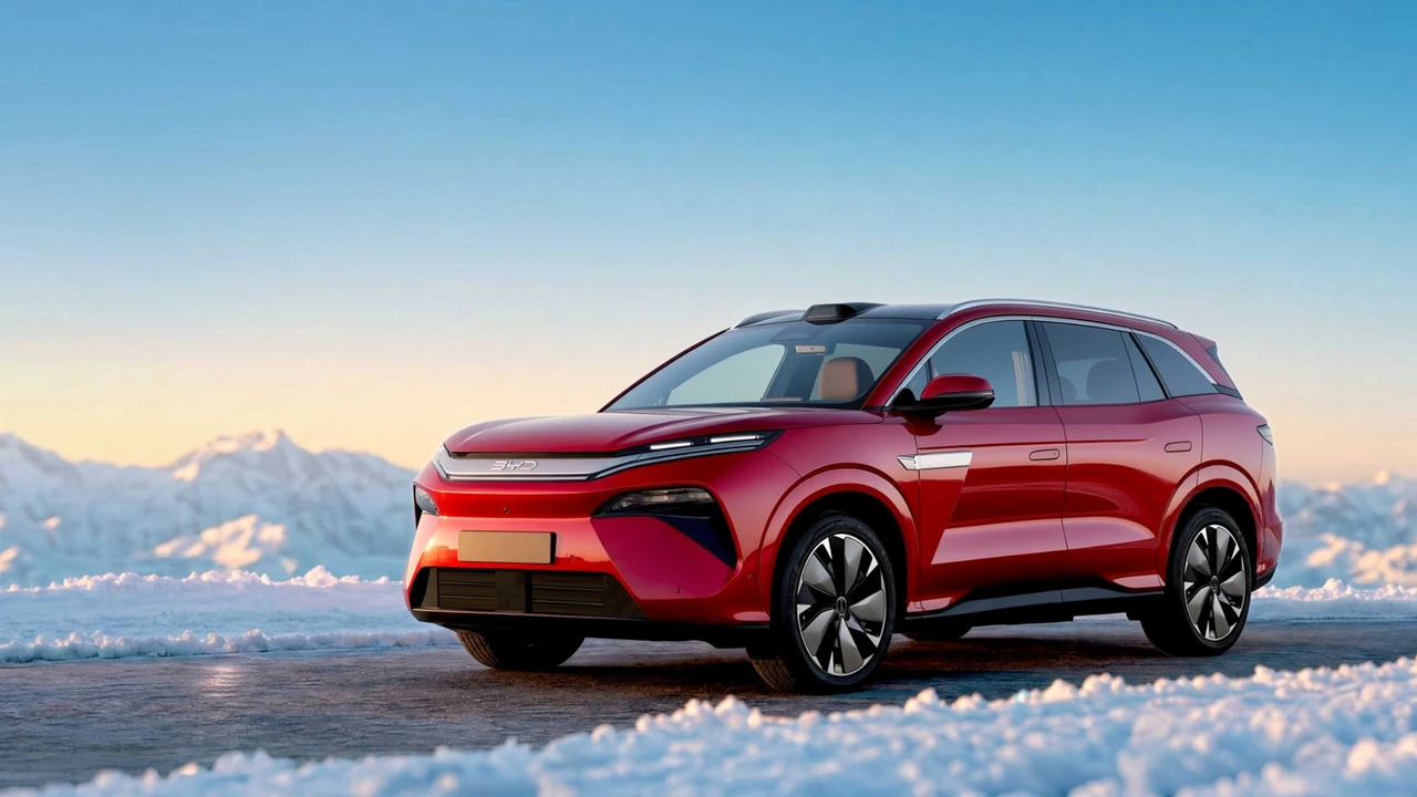아토 8 / BYD